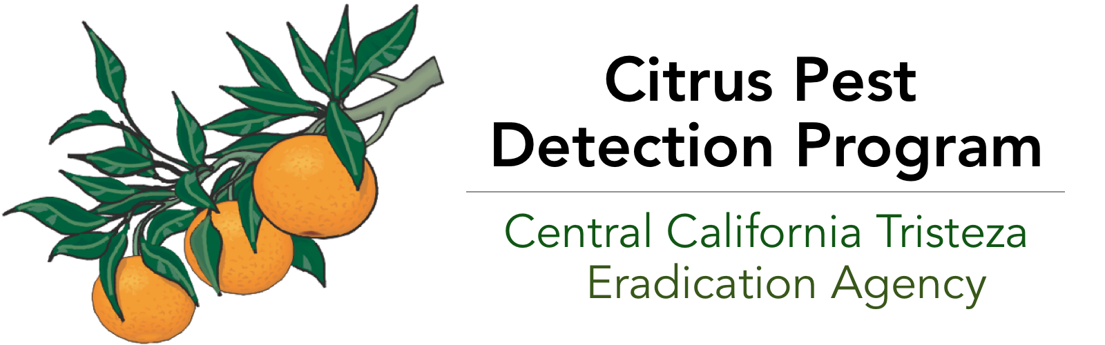 CCTEA Collaborators